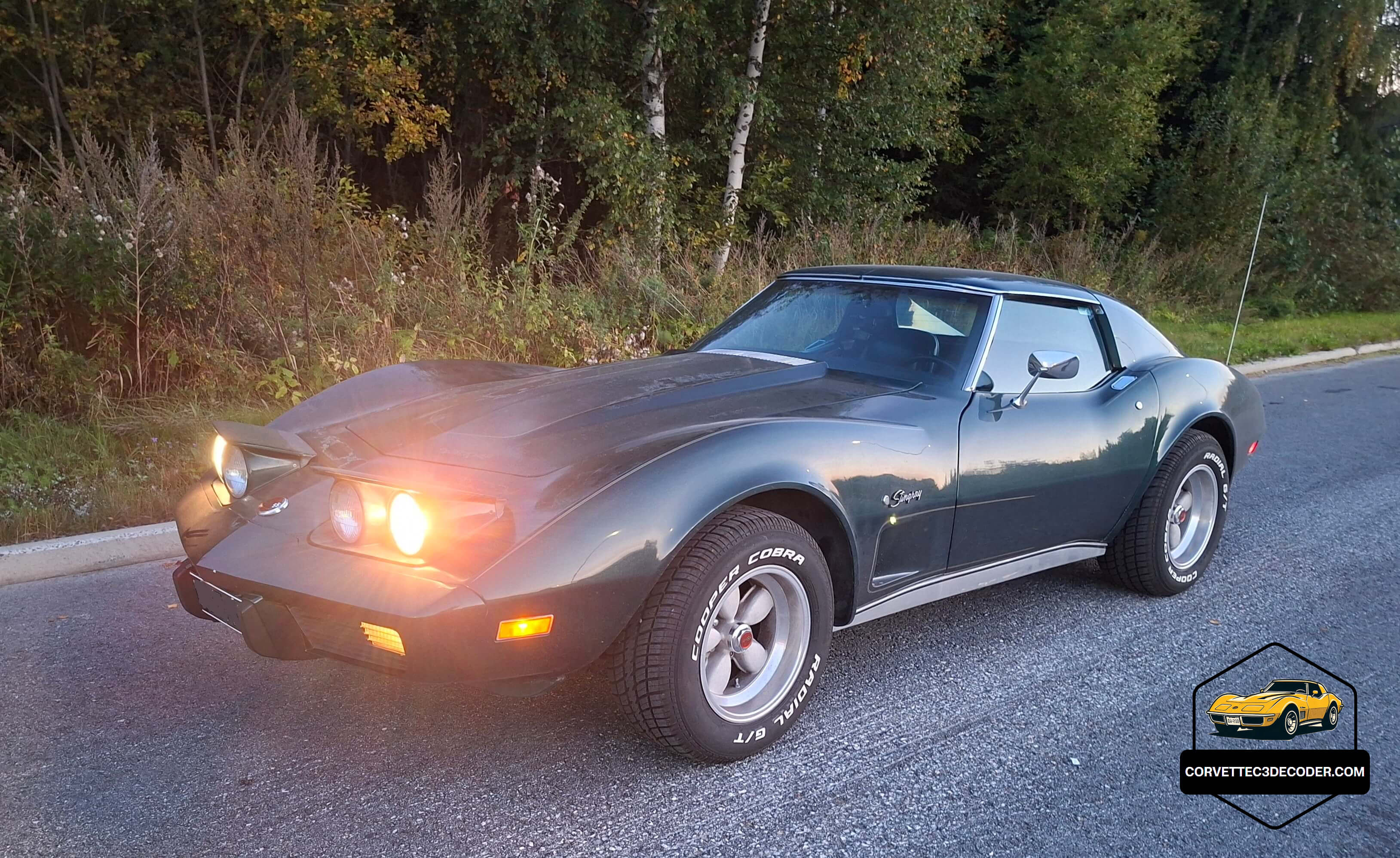 Side view of my 1976 Corvette, an authentic numbers-matching example from the later plastic bumper era